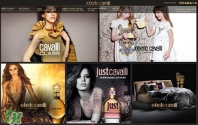 roberto cavalli��ʲô���ӣ��޲��п������Ǽ���ʲô���Σ�